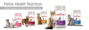 Gezonde zoals Royal Canin en Purina bij kattenhotel In2Cats